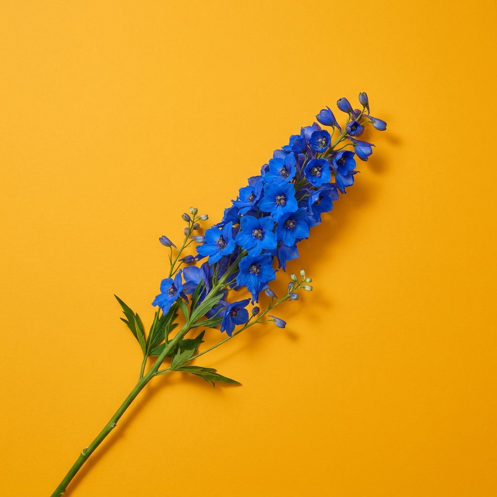 Tige unique de delphinium bleu posée en diagonale sur fond safran